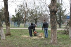 IMG_2675+
