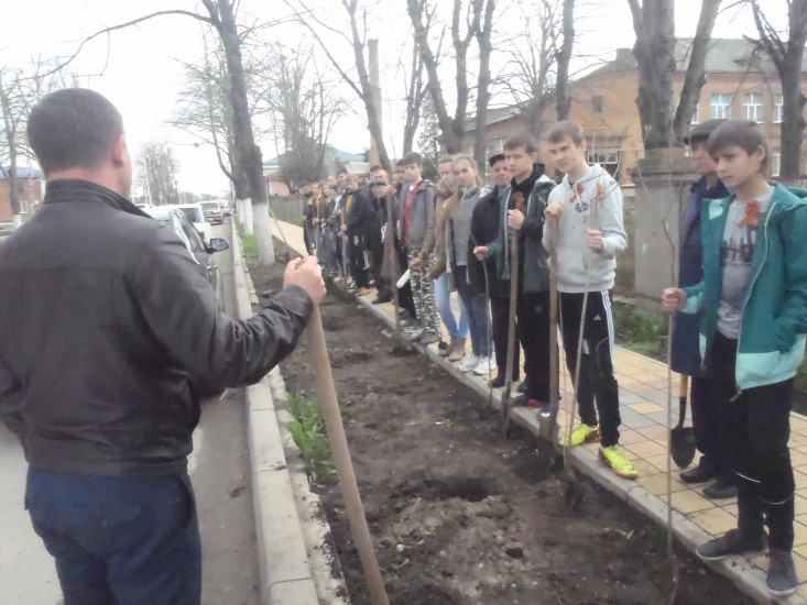 сире