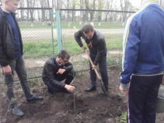 сирен