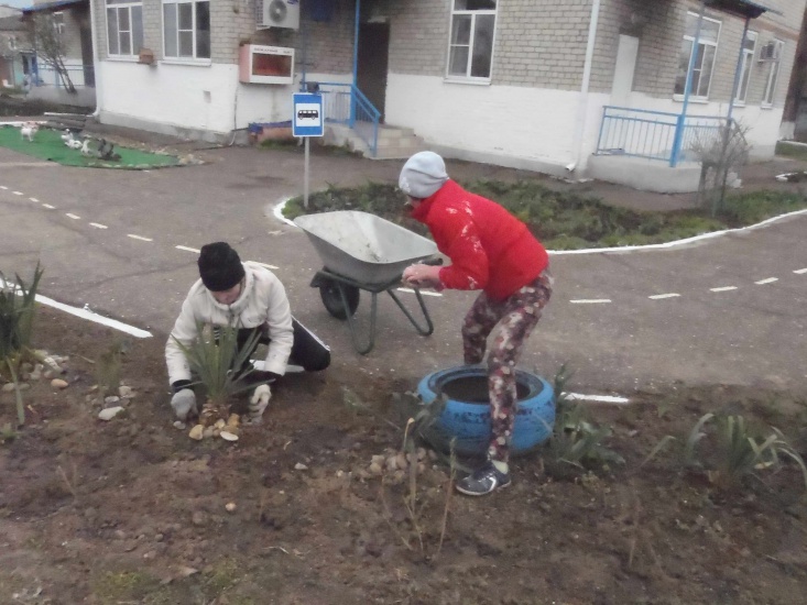 Детский сад 15 3