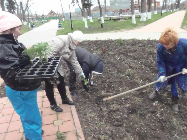 Высадка цветв в центральном парке