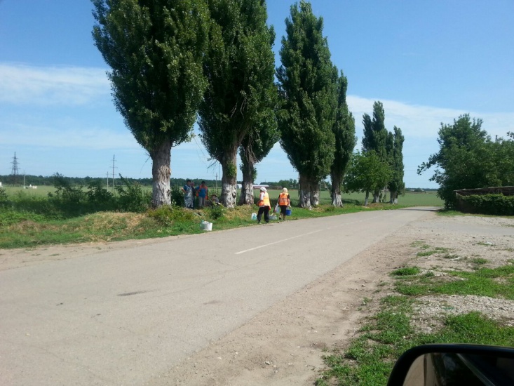 Побелка деревьев на территории поликлиники