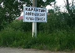 АЧС