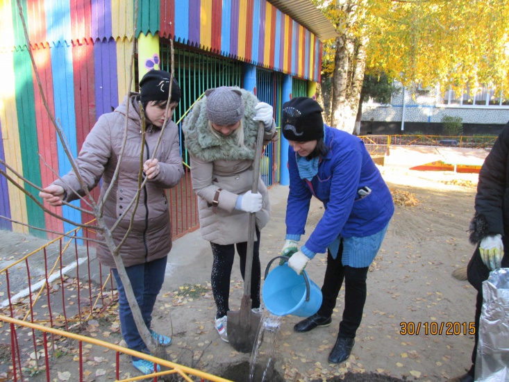 Высадка орехов, д.с № 66