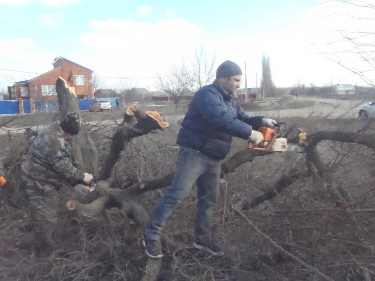 Пилка деревьевъъ