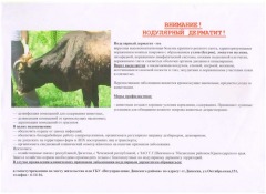 На сайт
