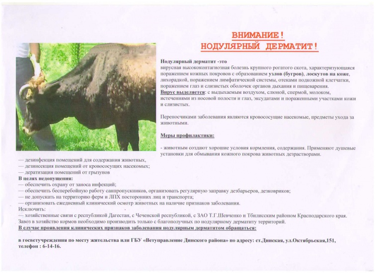На сайт