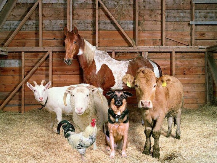 group-photo