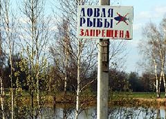 рыба