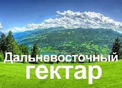 Дальневосточный гектар