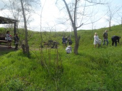 SAM_0342