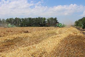 IMG_0685