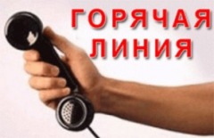 горячая линия