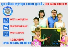 налоги2