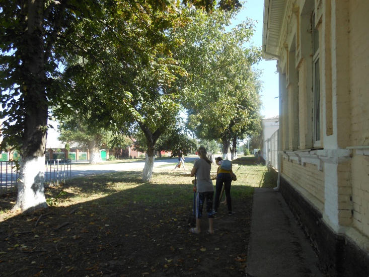 DSCN6474