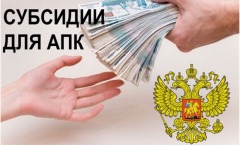 Sudsidii-dlya-APK