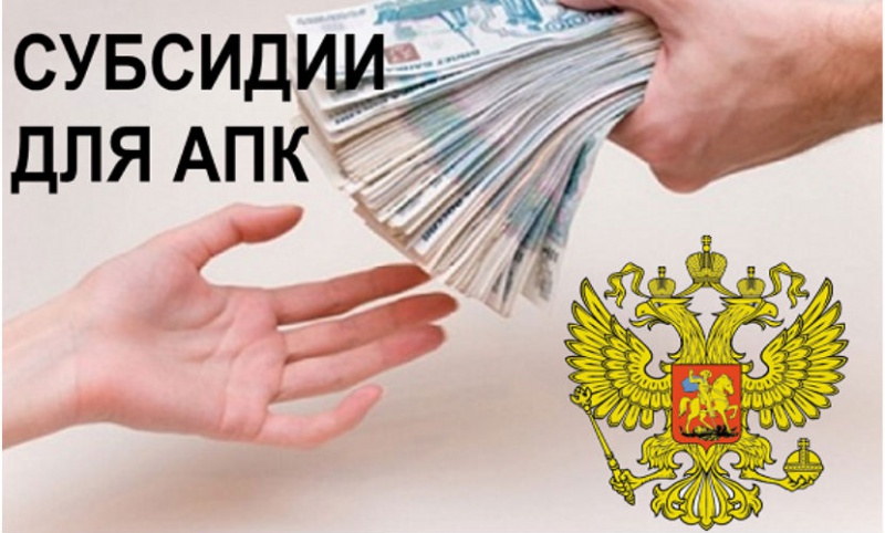 Sudsidii-dlya-APK