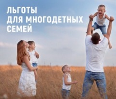 многодетные