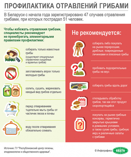 отравление грибами