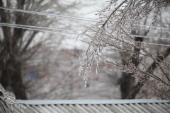 S001nj3154260861713748812