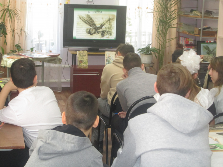 детская библиотека 106