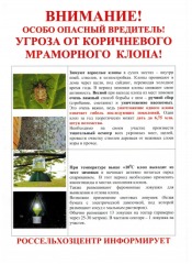 листовка на сайт