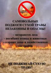 сухая трава