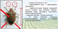 ec09f4c92c5da2306280981181d810bf
