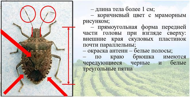 ec09f4c92c5da2306280981181d810bf