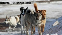 отлов