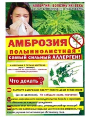 листовка