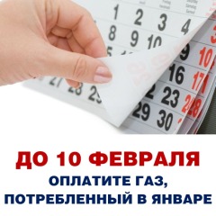 02.2024 об оплате ГАЗА