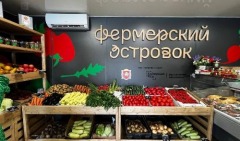 1пп